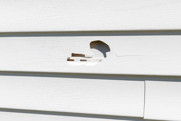 Best Siding Maintenance  in Westover, AL